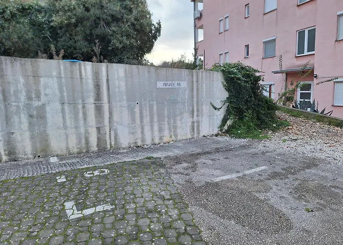 Amara * 트로기르